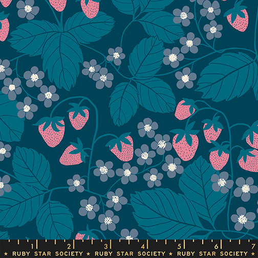 Reimagined Landscapes Fabric - Strawberry Field in Galaxy