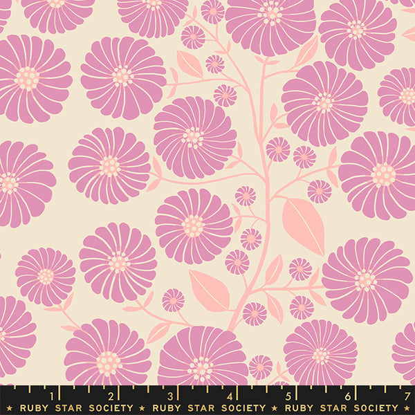 Floradora Fabric - Strawflowers in Kiss